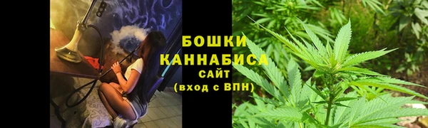 сатива Саяногорск