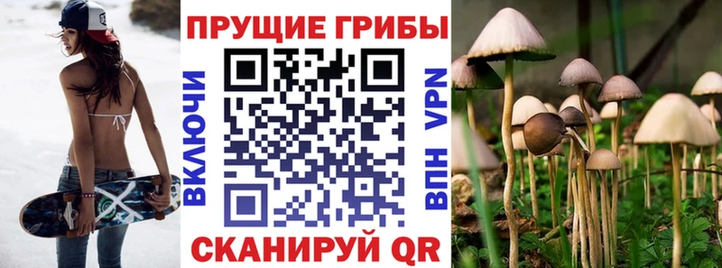 Псилоцибиновые грибы MAGIC MUSHROOMS OMG онион Новоузенск